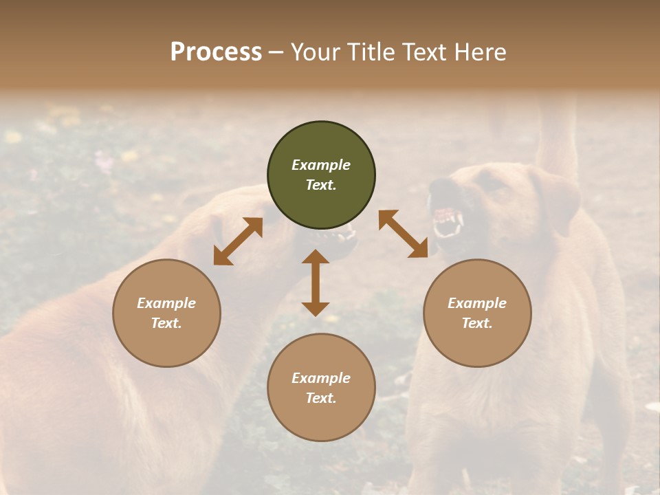 Spill Glass Lager PowerPoint Template