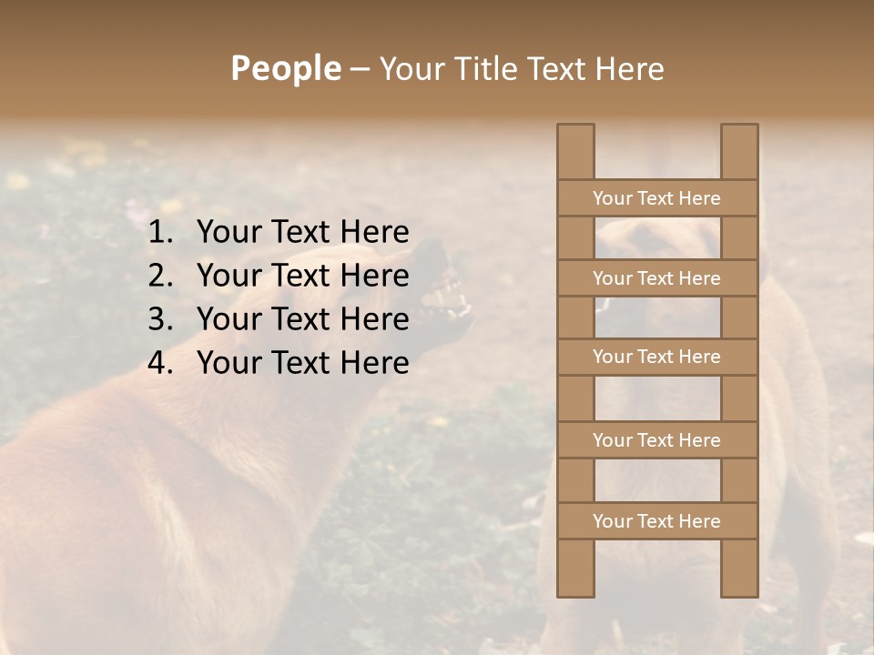 Spill Glass Lager PowerPoint Template