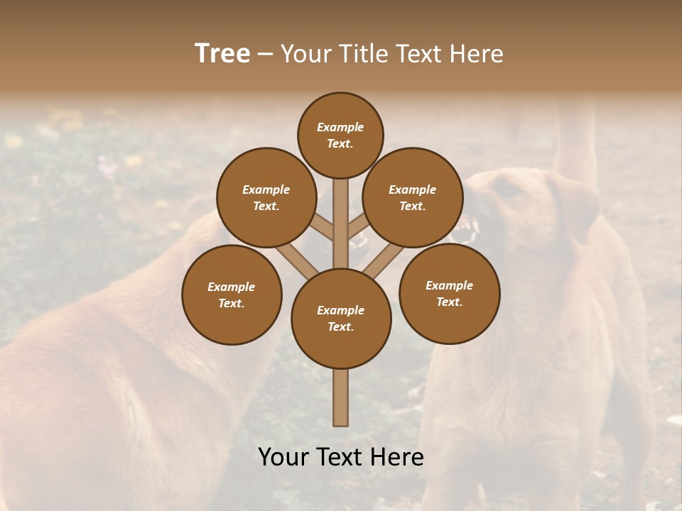 Spill Glass Lager PowerPoint Template