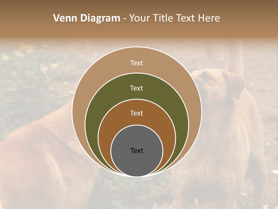 Spill Glass Lager PowerPoint Template