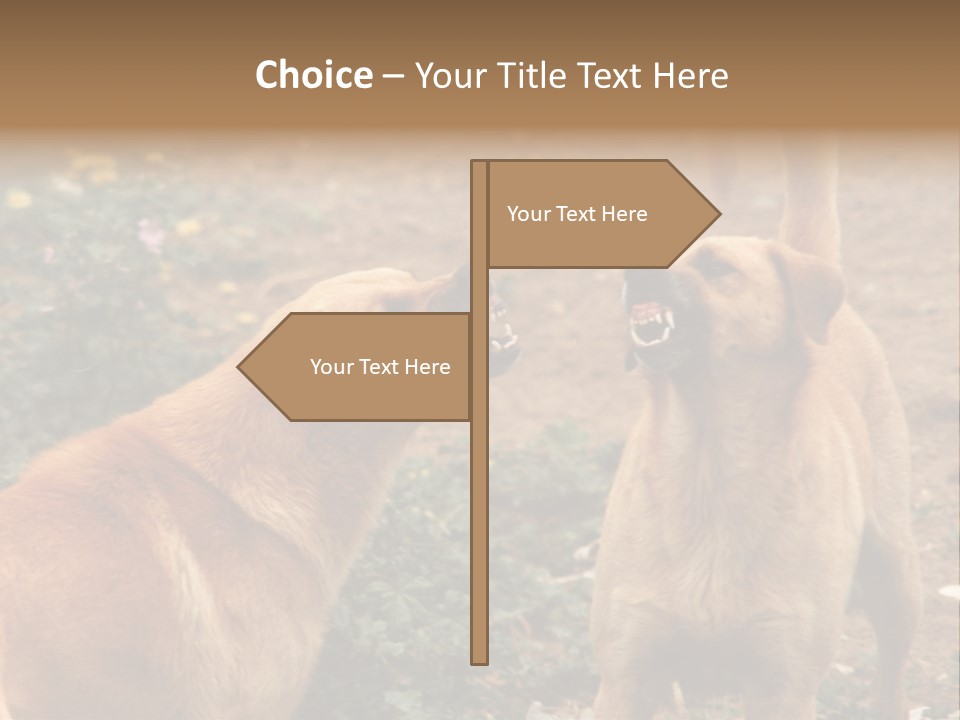 Spill Glass Lager PowerPoint Template