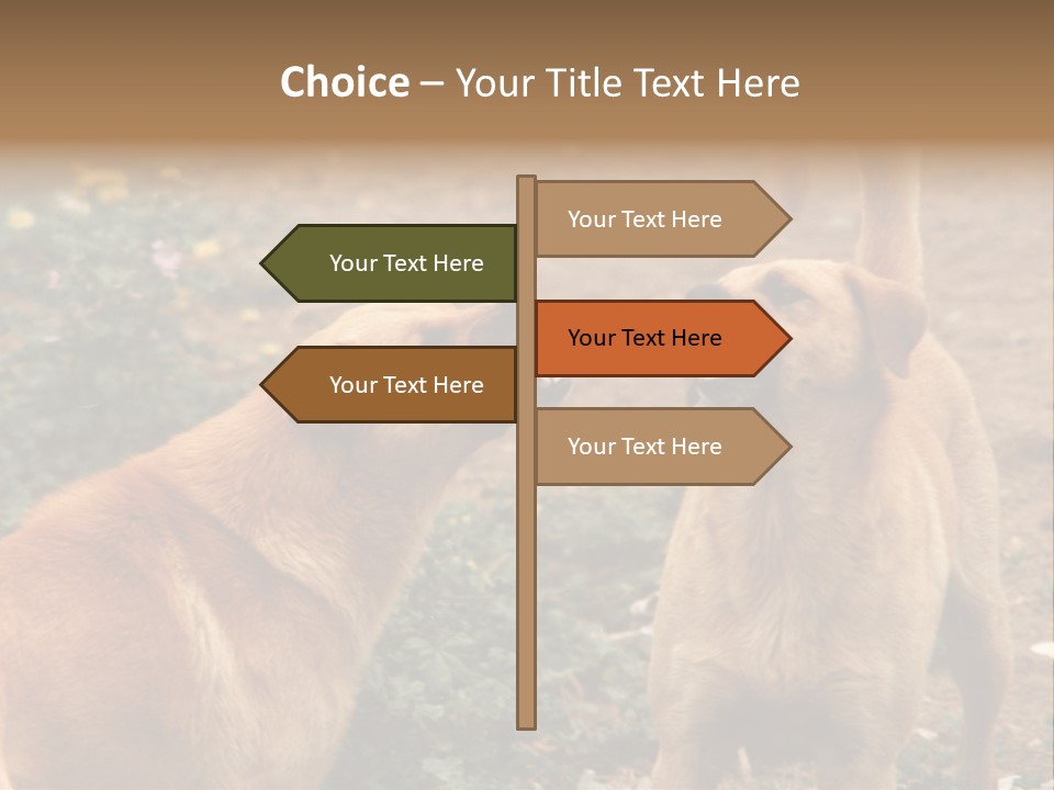 Spill Glass Lager PowerPoint Template