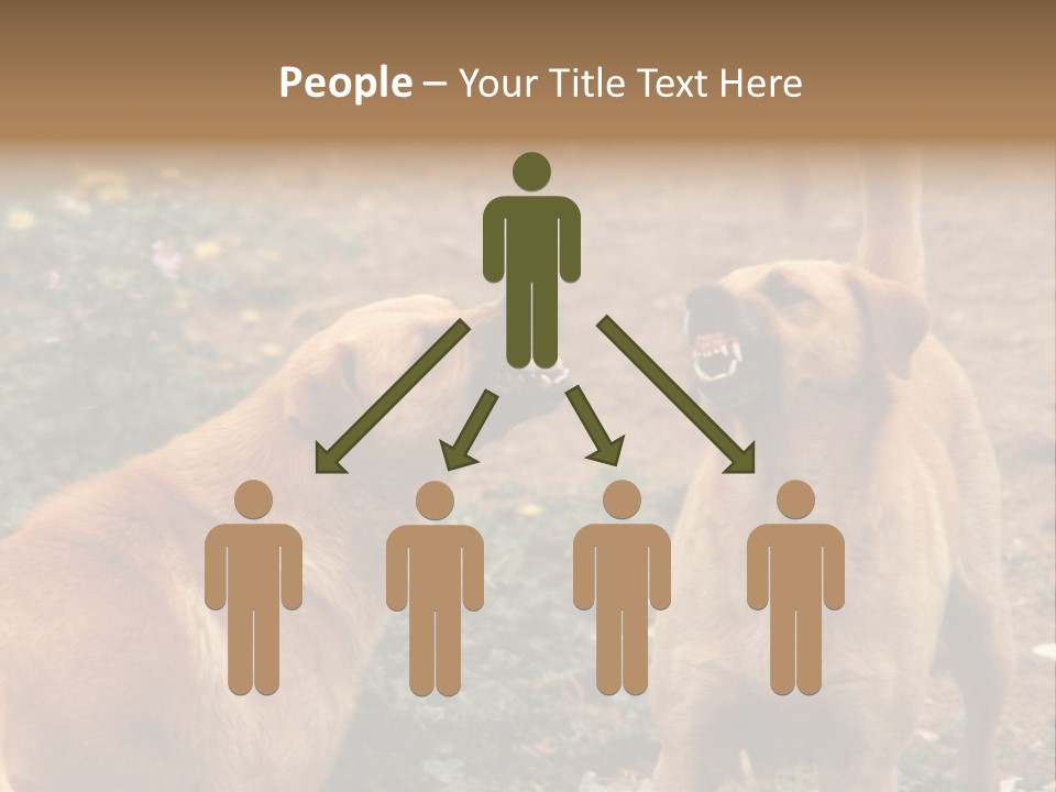 Spill Glass Lager PowerPoint Template