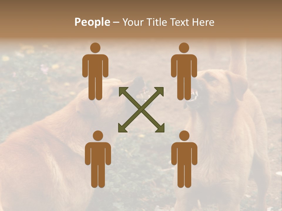 Spill Glass Lager PowerPoint Template