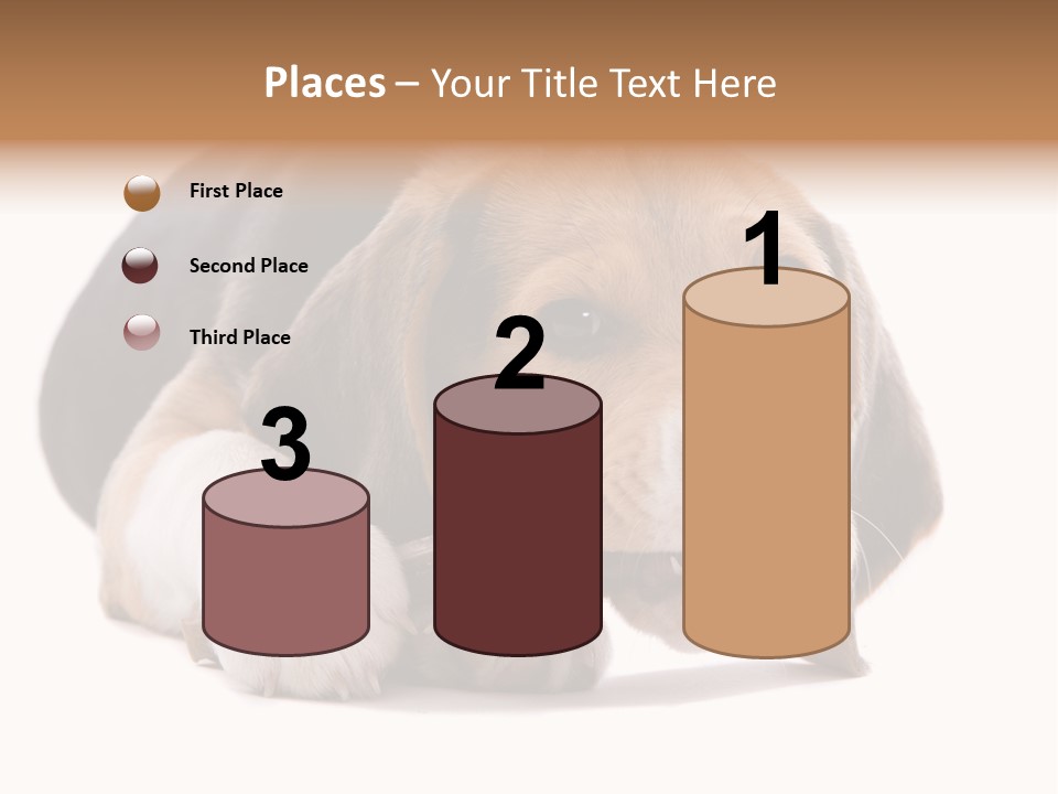 A Dog Laying Down With A Bone In Its Mouth PowerPoint Template