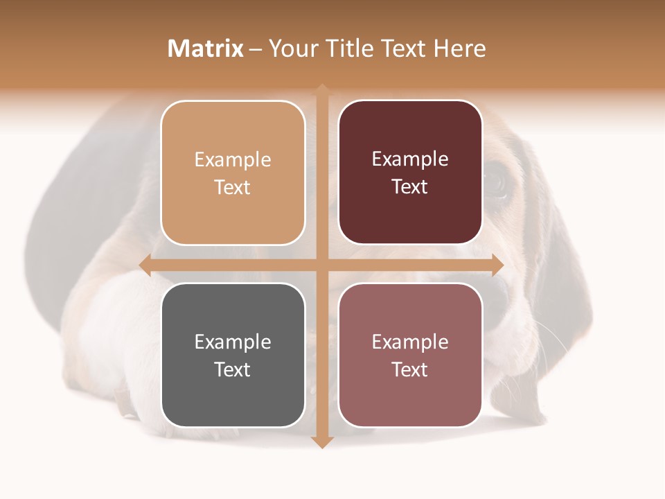 A Dog Laying Down With A Bone In Its Mouth PowerPoint Template