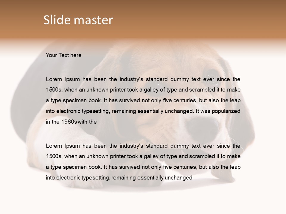 A Dog Laying Down With A Bone In Its Mouth PowerPoint Template