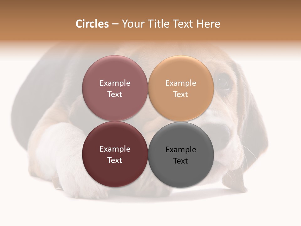 A Dog Laying Down With A Bone In Its Mouth PowerPoint Template