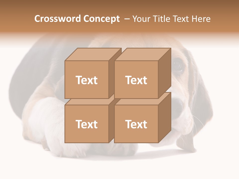 A Dog Laying Down With A Bone In Its Mouth PowerPoint Template