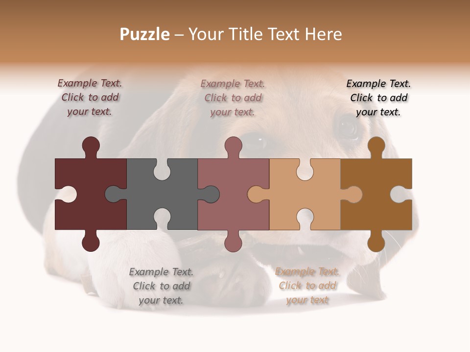 A Dog Laying Down With A Bone In Its Mouth PowerPoint Template