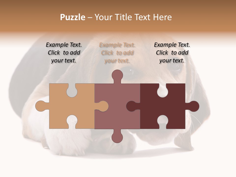 A Dog Laying Down With A Bone In Its Mouth PowerPoint Template