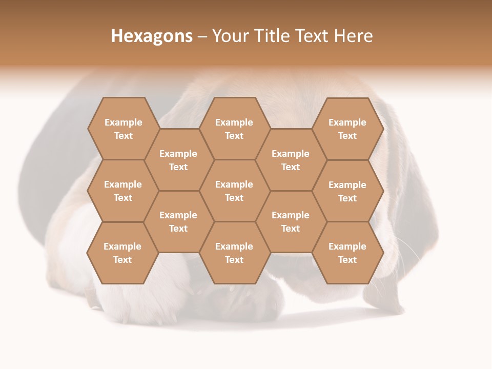 A Dog Laying Down With A Bone In Its Mouth PowerPoint Template