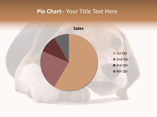 A Dog Laying Down With A Bone In Its Mouth PowerPoint Template