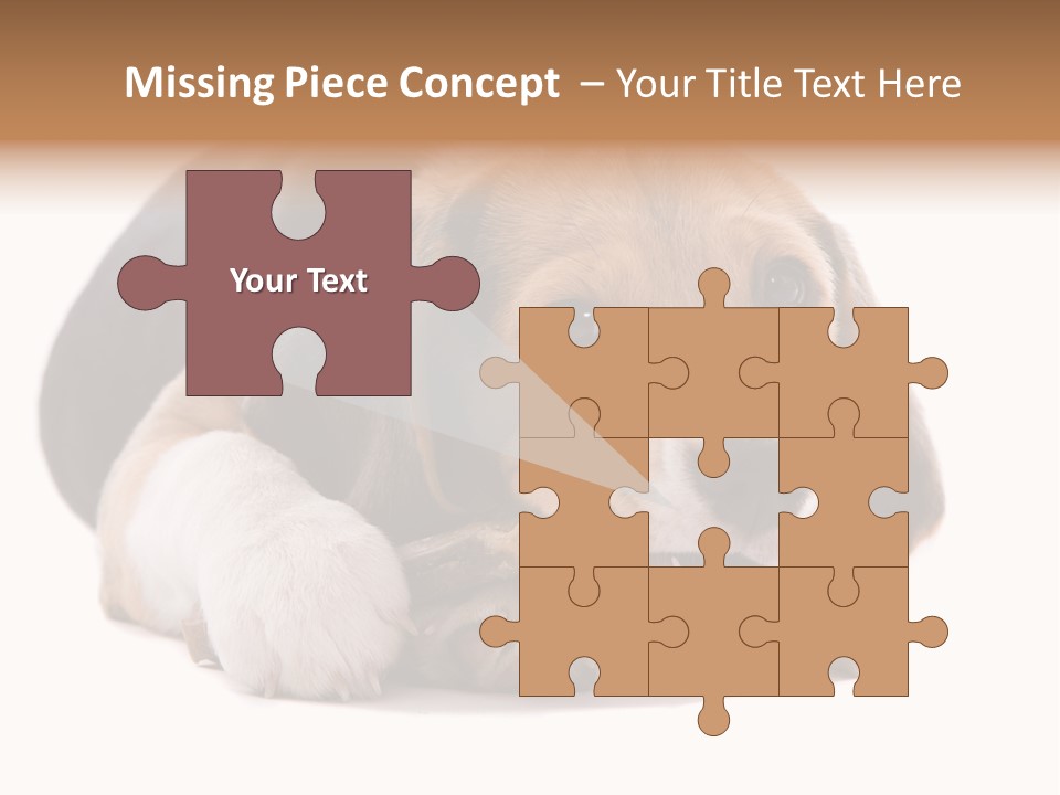 A Dog Laying Down With A Bone In Its Mouth PowerPoint Template