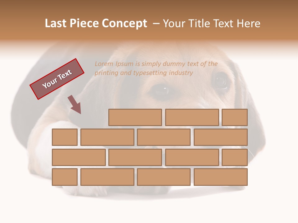 A Dog Laying Down With A Bone In Its Mouth PowerPoint Template