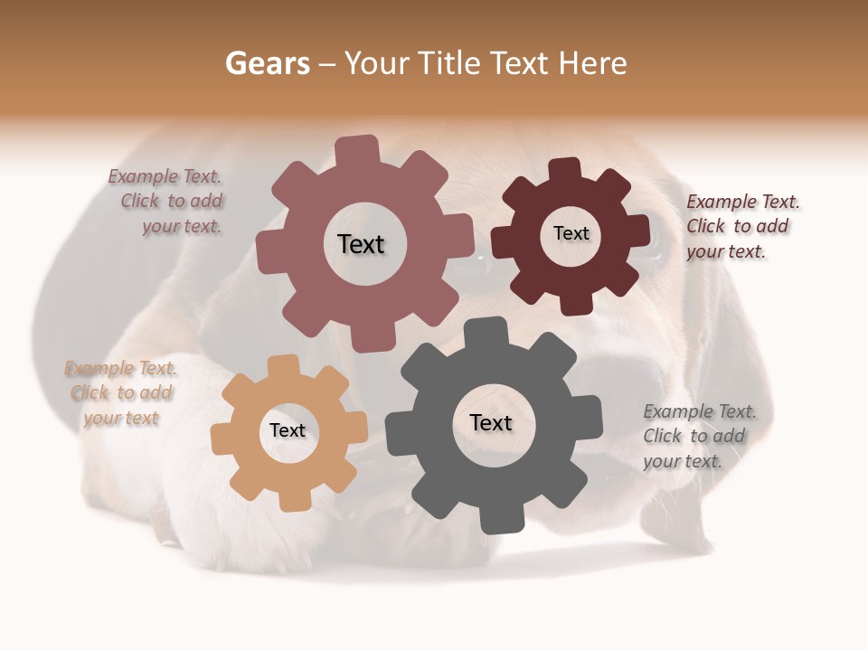 A Dog Laying Down With A Bone In Its Mouth PowerPoint Template