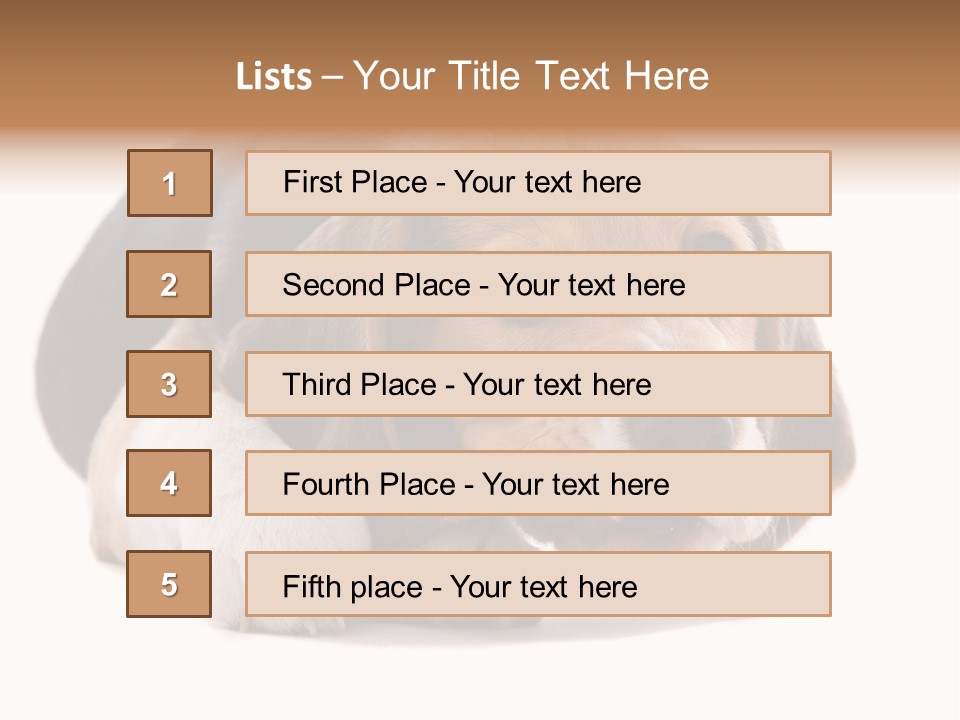 A Dog Laying Down With A Bone In Its Mouth PowerPoint Template