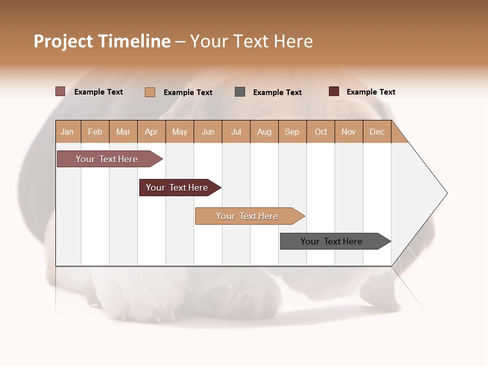 A Dog Laying Down With A Bone In Its Mouth PowerPoint Template