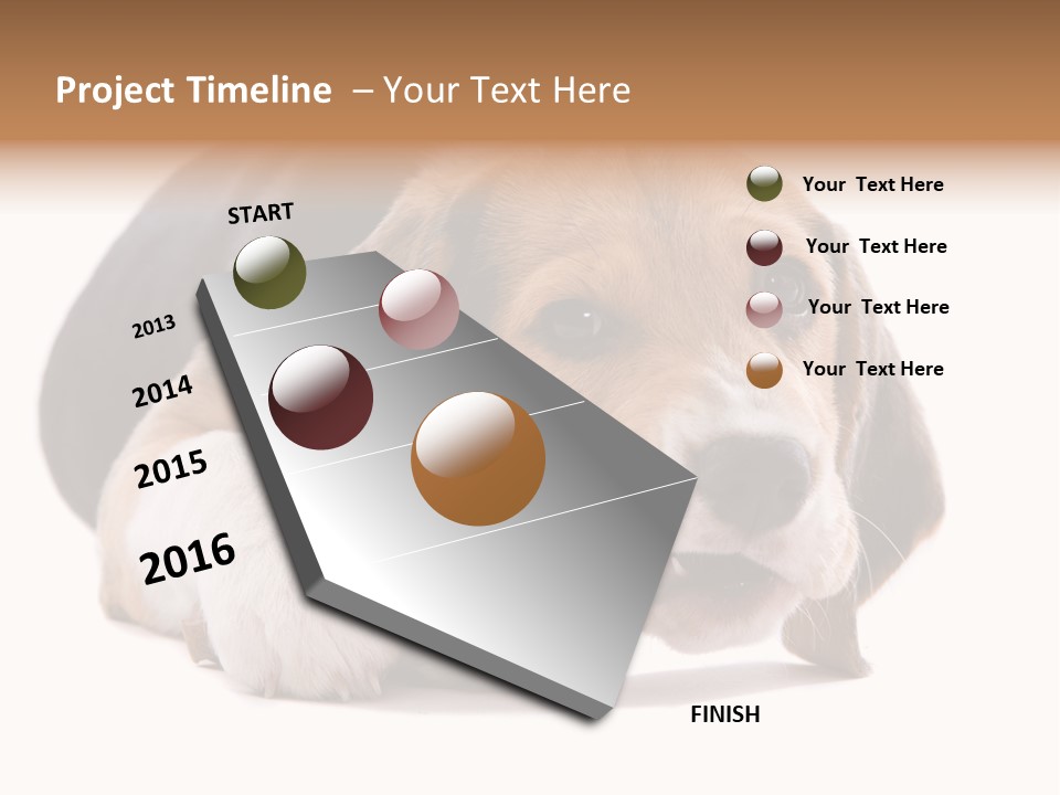 A Dog Laying Down With A Bone In Its Mouth PowerPoint Template