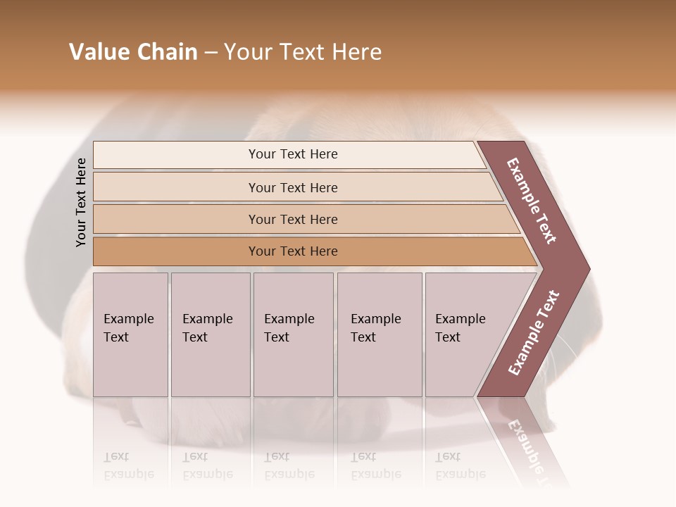 A Dog Laying Down With A Bone In Its Mouth PowerPoint Template
