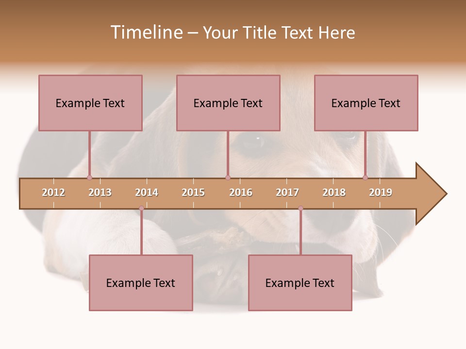 A Dog Laying Down With A Bone In Its Mouth PowerPoint Template