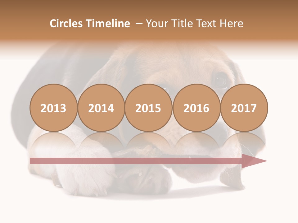 A Dog Laying Down With A Bone In Its Mouth PowerPoint Template