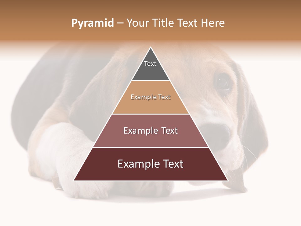 A Dog Laying Down With A Bone In Its Mouth PowerPoint Template