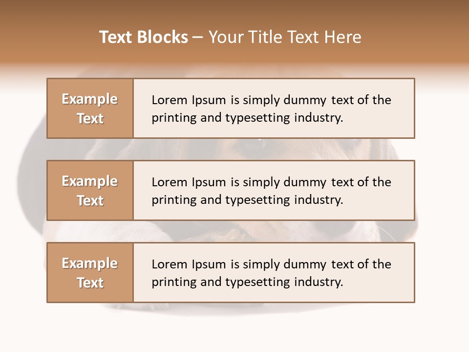 A Dog Laying Down With A Bone In Its Mouth PowerPoint Template