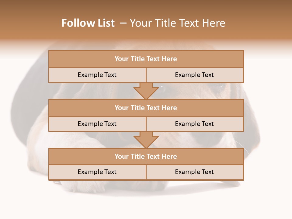 A Dog Laying Down With A Bone In Its Mouth PowerPoint Template