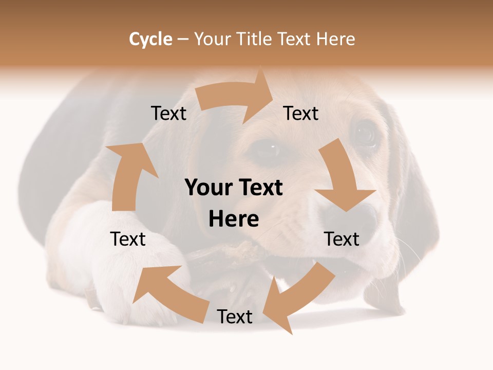 A Dog Laying Down With A Bone In Its Mouth PowerPoint Template