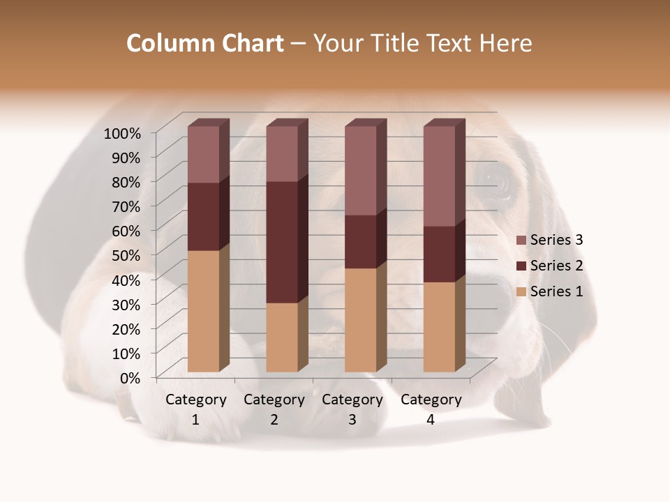 A Dog Laying Down With A Bone In Its Mouth PowerPoint Template