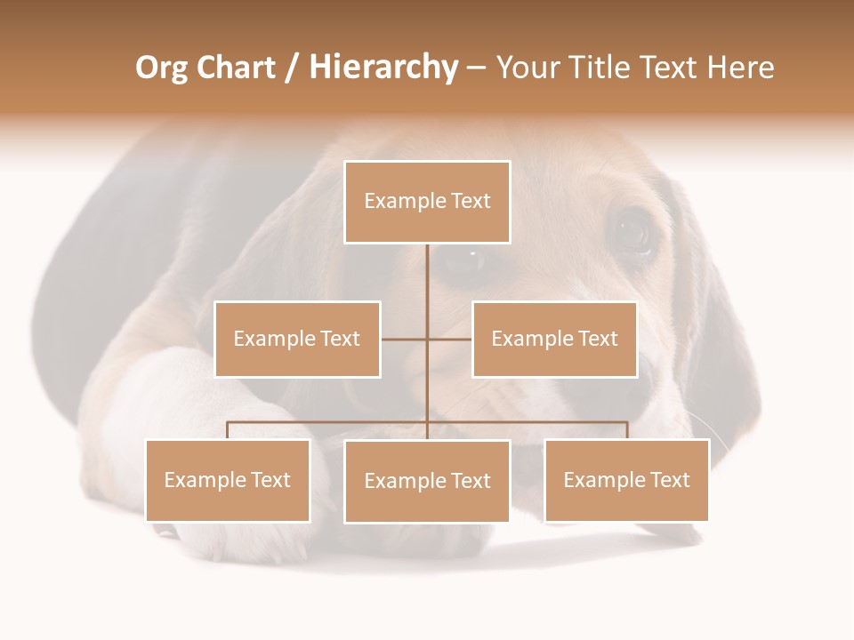 A Dog Laying Down With A Bone In Its Mouth PowerPoint Template