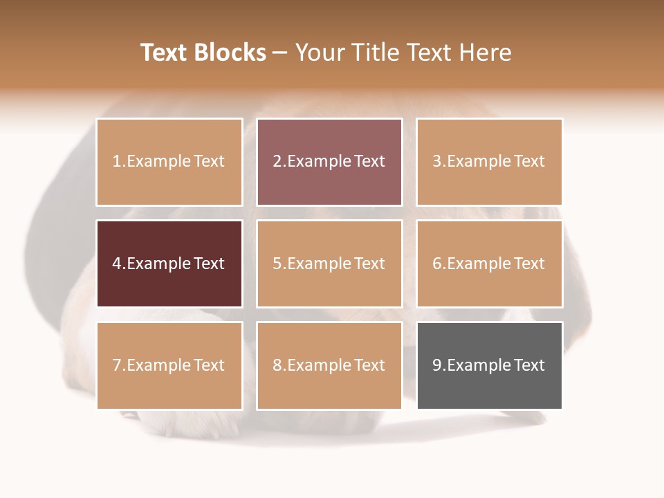 A Dog Laying Down With A Bone In Its Mouth PowerPoint Template