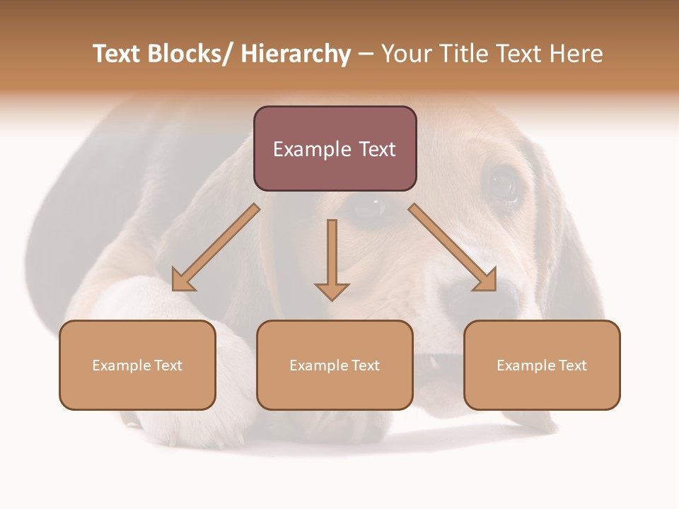 A Dog Laying Down With A Bone In Its Mouth PowerPoint Template