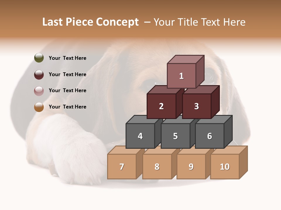 A Dog Laying Down With A Bone In Its Mouth PowerPoint Template