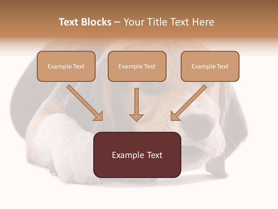 A Dog Laying Down With A Bone In Its Mouth PowerPoint Template