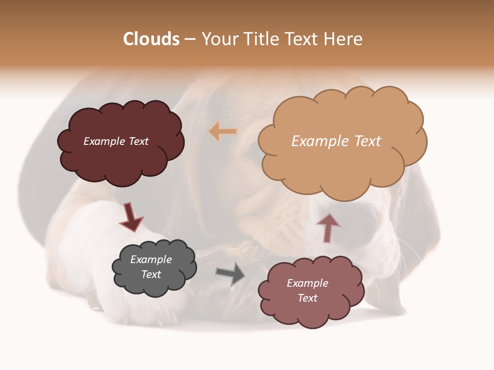 A Dog Laying Down With A Bone In Its Mouth PowerPoint Template