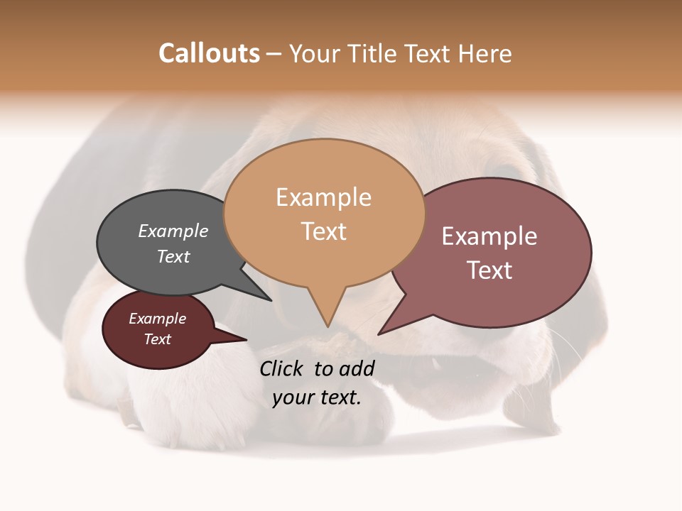 A Dog Laying Down With A Bone In Its Mouth PowerPoint Template