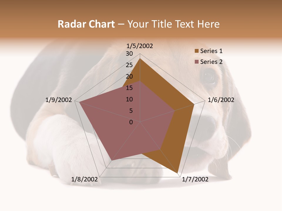 A Dog Laying Down With A Bone In Its Mouth PowerPoint Template