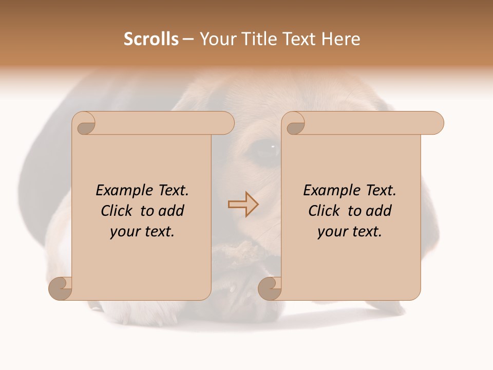 A Dog Laying Down With A Bone In Its Mouth PowerPoint Template