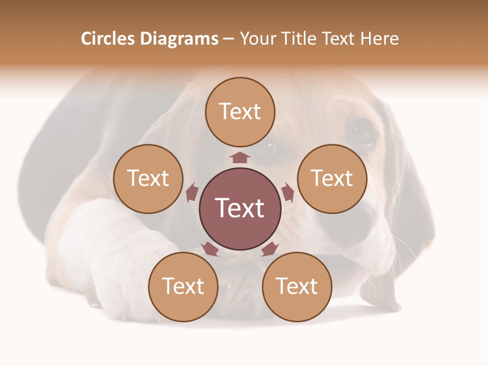 A Dog Laying Down With A Bone In Its Mouth PowerPoint Template