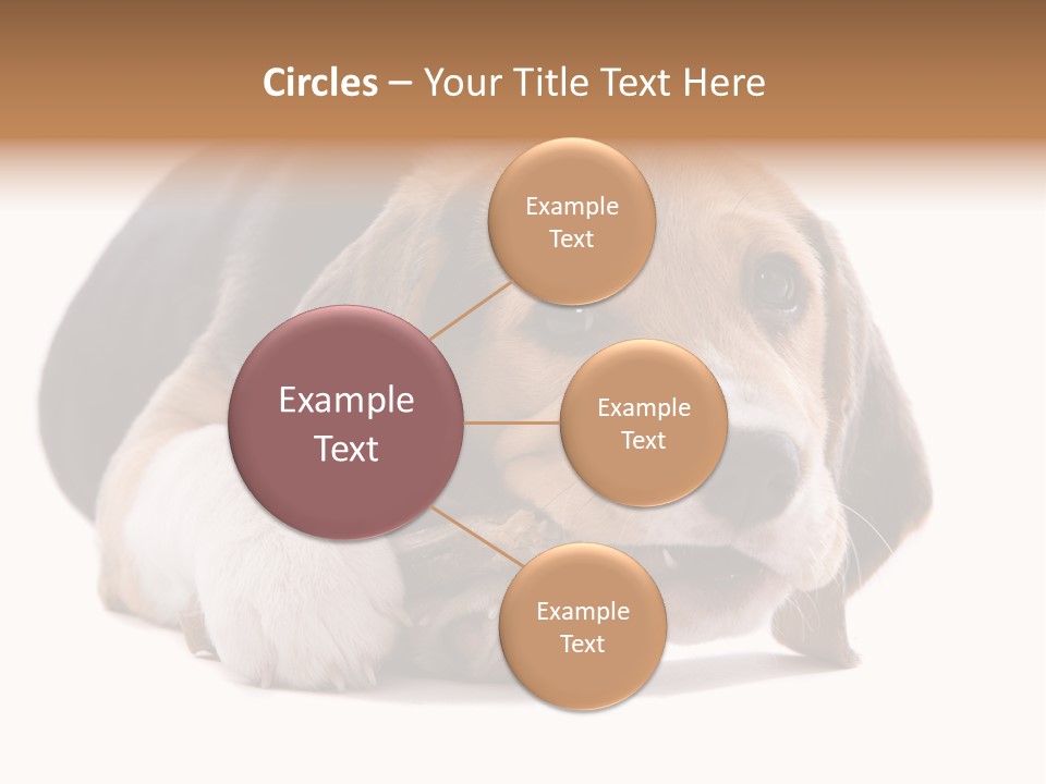 A Dog Laying Down With A Bone In Its Mouth PowerPoint Template