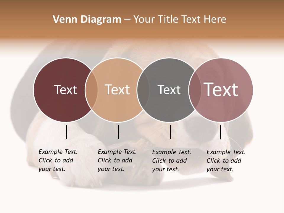 A Dog Laying Down With A Bone In Its Mouth PowerPoint Template