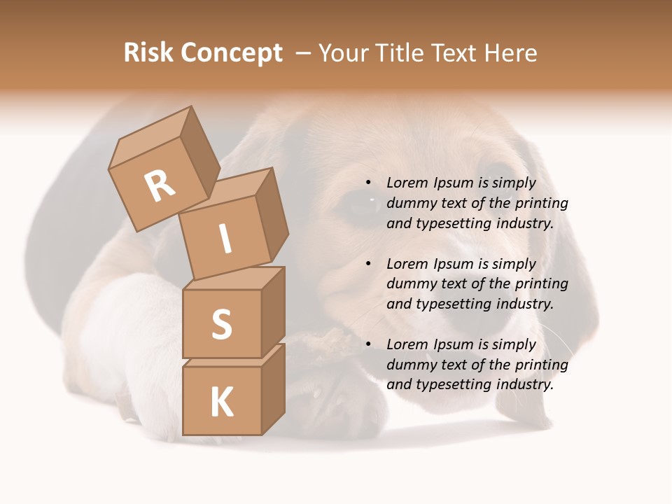 A Dog Laying Down With A Bone In Its Mouth PowerPoint Template