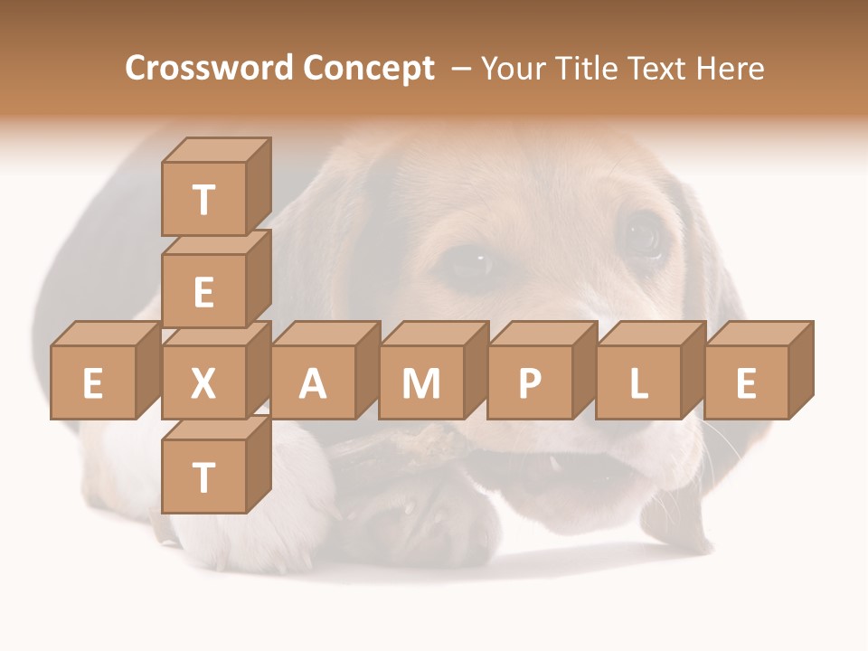 A Dog Laying Down With A Bone In Its Mouth PowerPoint Template