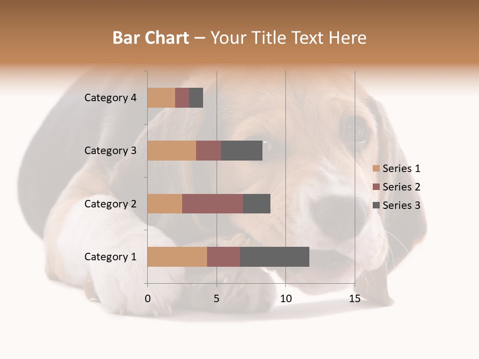 A Dog Laying Down With A Bone In Its Mouth PowerPoint Template