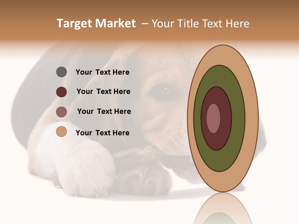 A Dog Laying Down With A Bone In Its Mouth PowerPoint Template