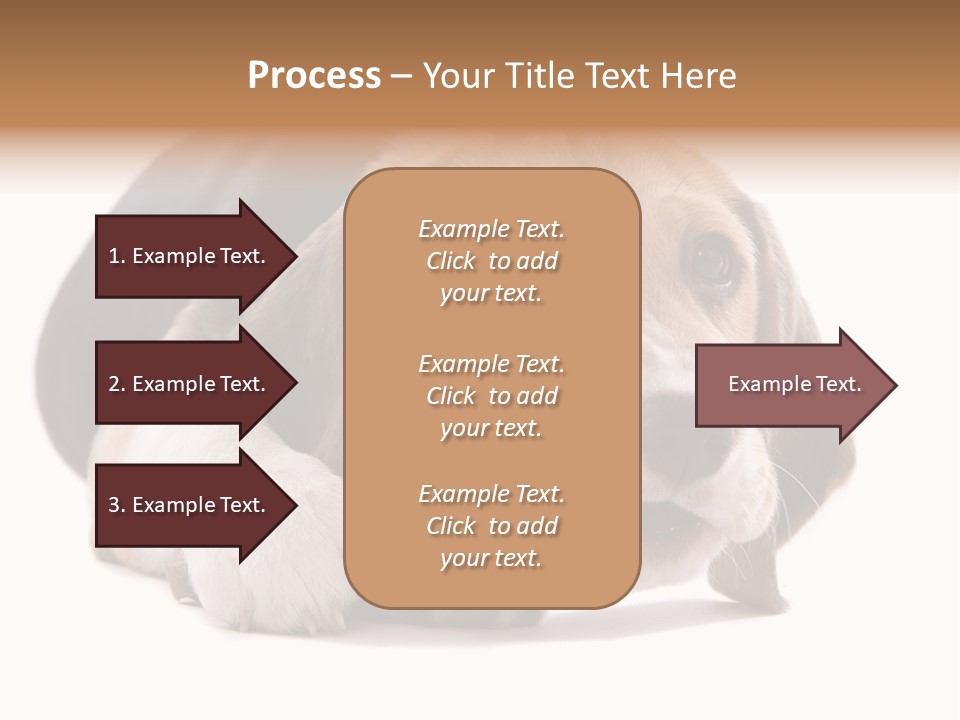 A Dog Laying Down With A Bone In Its Mouth PowerPoint Template