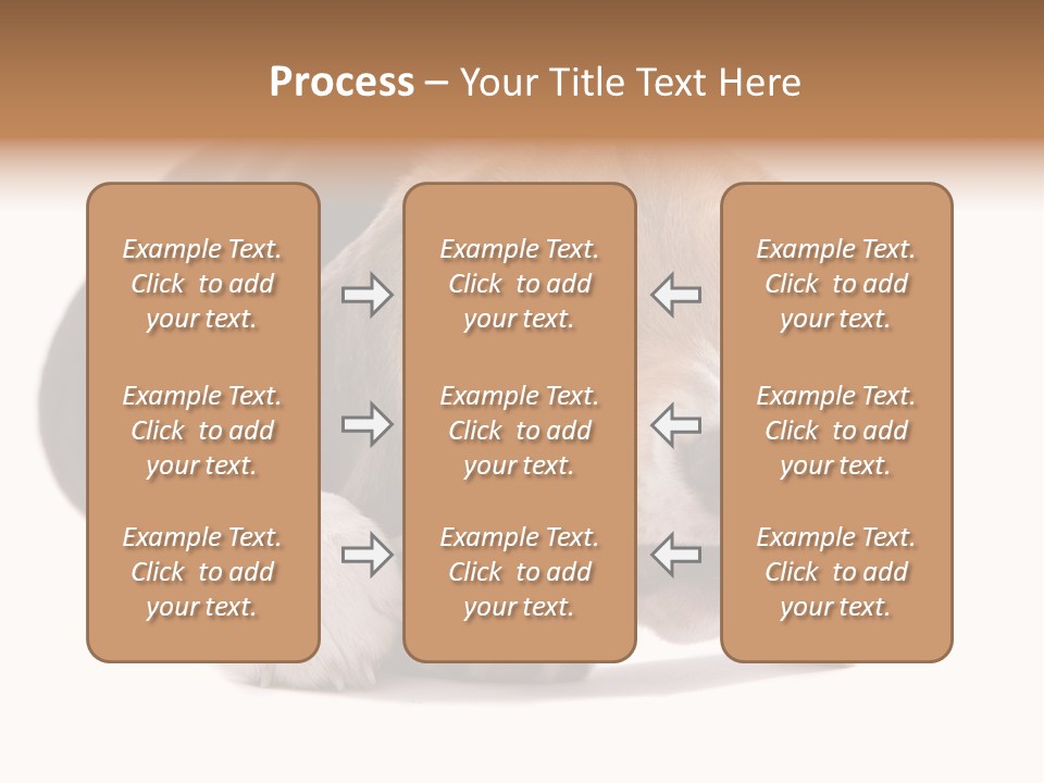 A Dog Laying Down With A Bone In Its Mouth PowerPoint Template