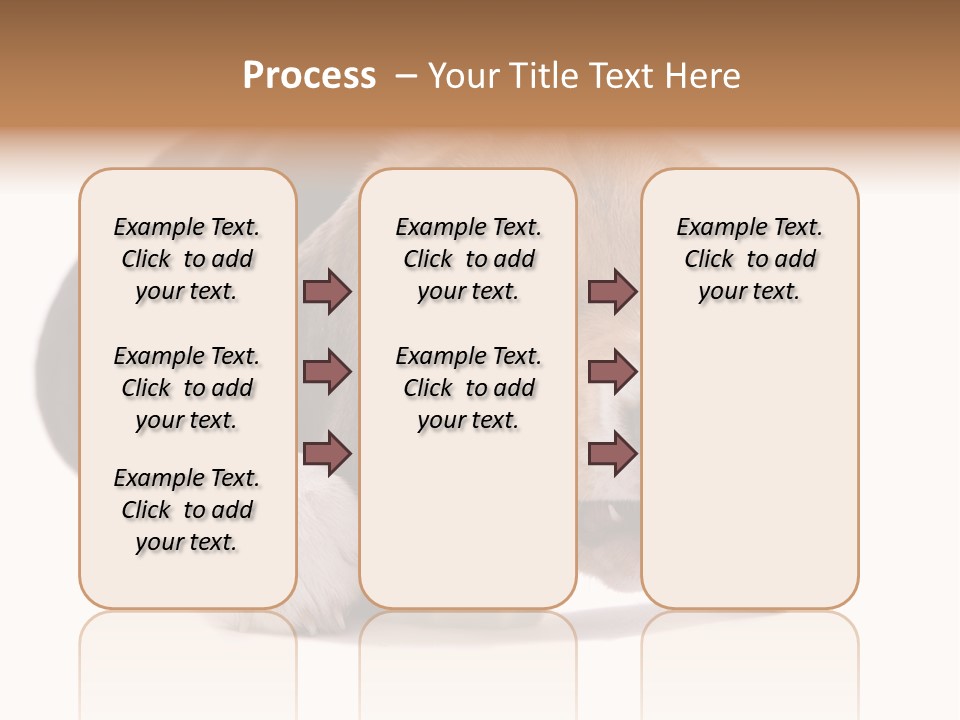A Dog Laying Down With A Bone In Its Mouth PowerPoint Template